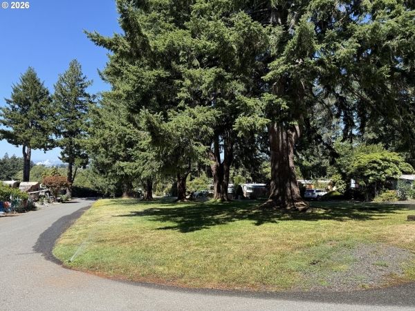 Listing Image #3 - Others for sale at 16427 VISTA HILLS Dr, Brookings OR 97415 Listing Image #3 - Others for sale at 16427 VISTA HILLS Dr, Brookings OR 97415