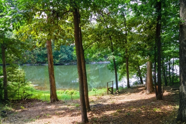 Listing Image #3 - Land for sale at 000 Wright Rd, Carbondale IL 62902 Listing Image #3 - Land for sale at 000 Wright Rd, Carbondale IL 62902