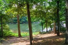 Listing Image #3 - Land for sale at 000 Wright Rd, Carbondale IL 62902