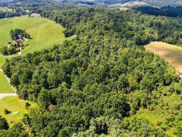 Listing Image #1 - Multi-family for sale at TBD Fairview Church Road, Floyd VA 24091