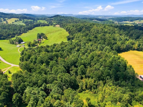 Listing Image #2 - Multi-family for sale at TBD Fairview Church Road, Floyd VA 24091