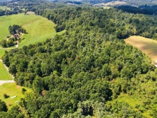 Multi-family property for sale in Floyd, VA