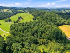 Listing Image #2 - Multi-family for sale at TBD Fairview Church Road, Floyd VA 24091
