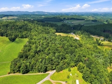 Listing Image #3 - Multi-family for sale at TBD Fairview Church Road, Floyd VA 24091