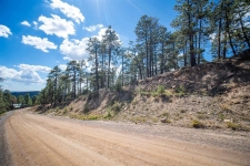 Listing Image #3 - Land for sale at 85 Pine Ridge 49, Bayfield CO 81122