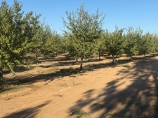 Land property for sale in Lincoln, CA