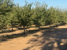 Listing Image #2 - Land for sale at 7967 Nicolaus Road, Lincoln CA 95648