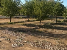 Listing Image #3 - Land for sale at 7967 Nicolaus Road, Lincoln CA 95648