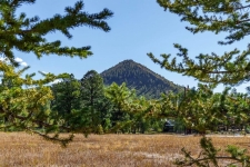 Listing Image #2 - Land for sale at Lot 33 Pine River Ranch Circle, Bayfield CO 81122
