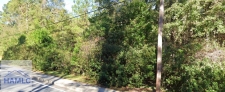 Listing Image #3 - Multi-family for sale at 10 AC Eunice Road Rd, Hinesville GA 31313