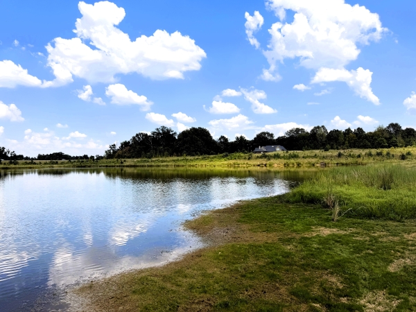 Listing Image #2 - Land for sale at 0 Tchulahoma Road,, Hernando MS 38632 Listing Image #2 - Land for sale at 0 Tchulahoma Road,, Hernando MS 38632