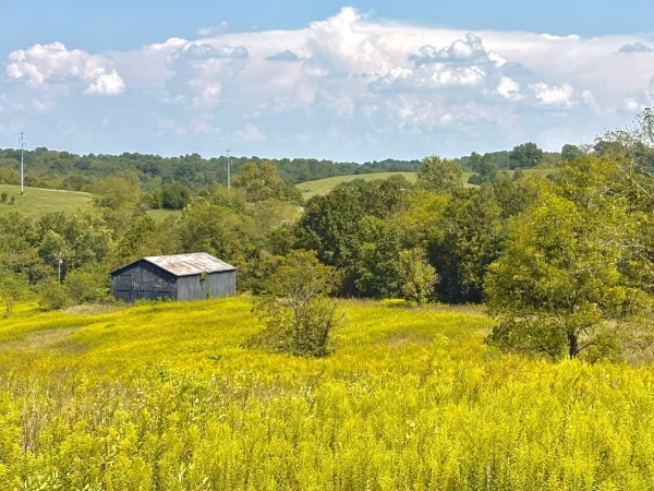 Listing Image #1 - Farm for sale at 285 Josephine Road, Sadieville KY 40370