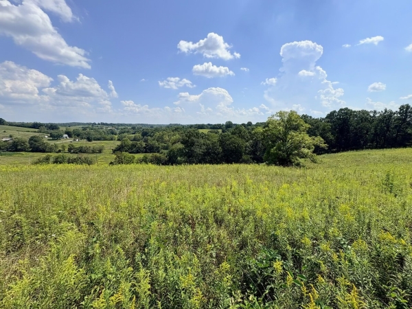 Listing Image #4 - Farm for sale at 285 Josephine Road, Sadieville KY 40370