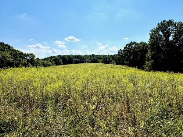 Listing Image #5 - Farm for sale at 285 Josephine Road, Sadieville KY 40370