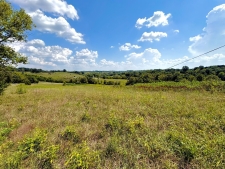 Listing Image #3 - Farm for sale at 285 Josephine Road, Sadieville KY 40370