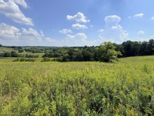 Listing Image #4 - Farm for sale at 285 Josephine Road, Sadieville KY 40370