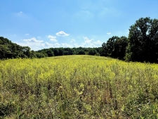 Listing Image #5 - Farm for sale at 285 Josephine Road, Sadieville KY 40370