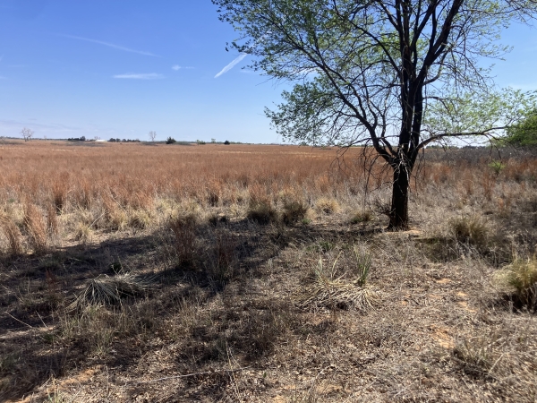 Listing Image #1 - Others for sale at Morgan Ranch | Collingsworth County, Wellington TX 79095 Listing Image #1 - Others for sale at Morgan Ranch | Collingsworth County, Wellington TX 79095