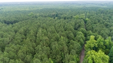 Listing Image #2 - Others for sale at 00 CR 4150, Pittsburg TX 75686