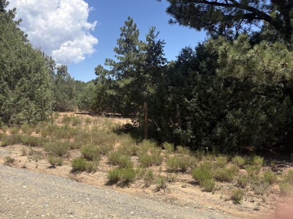 Listing Image #3 - Others for sale at 2 Falcon Lane, Tijeras NM 87059