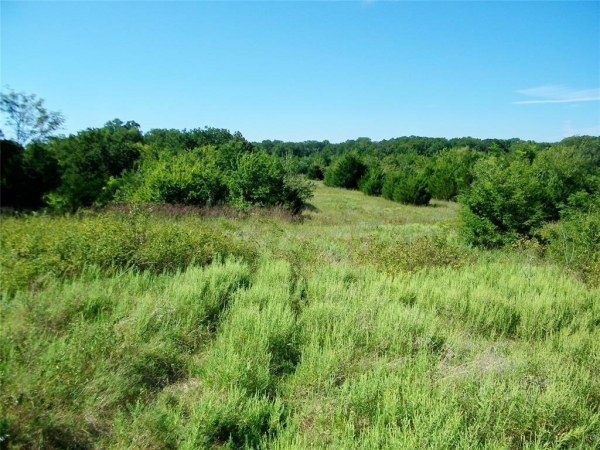 Listing Image #1 - Land for sale at Highway 102, Macomb OK 74852