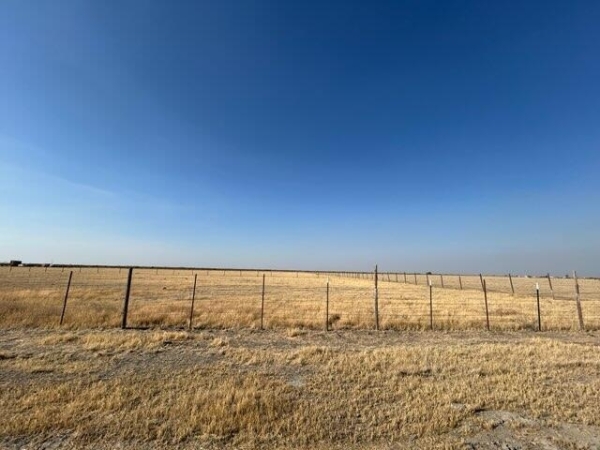 Listing Image #3 - Land for sale at Olive Street, Alpaugh CA 93201