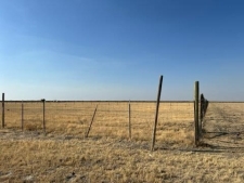 Listing Image #2 - Land for sale at Olive Street, Alpaugh CA 93201