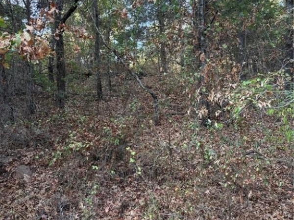 Listing Image #2 - Land for sale at TBD Buck Creek Road, Bokoshe OK 74930 Listing Image #2 - Land for sale at TBD Buck Creek Road, Bokoshe OK 74930