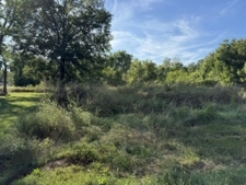 Listing Image #2 - Land for sale at 103 Davis Street, Carterville IL 62918