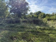 Listing Image #3 - Land for sale at 103 Davis Street, Carterville IL 62918