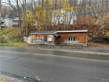 Others for sale in Oneonta, NY
