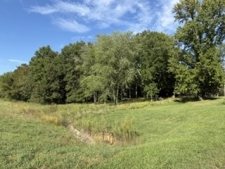 Land property for sale in Carterville, IL