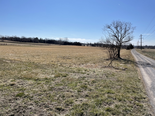 Listing Image #1 - Land for sale at 0000 Crabtree School Road, Marion IL 62959 Listing Image #1 - Land for sale at 0000 Crabtree School Road, Marion IL 62959