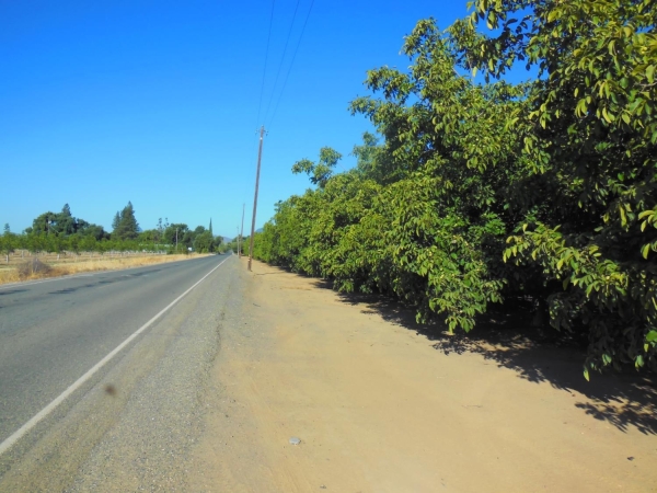 Listing Image #3 - Land for sale at Clark Road, Live Oak CA 95953