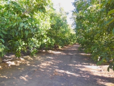 Land property for sale in Live Oak, CA