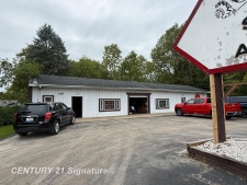 Others for sale in Mount Morris, MI