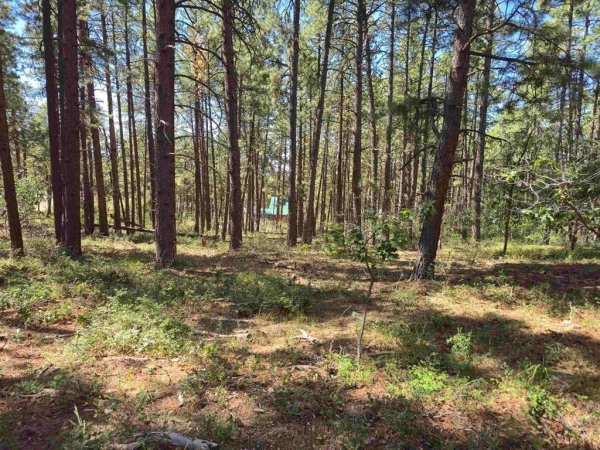 Listing Image #1 - Land for sale at 256 and 19 Blue Ridge Drive, Bayfield CO 81122 Listing Image #1 - Land for sale at 256 and 19 Blue Ridge Drive, Bayfield CO 81122