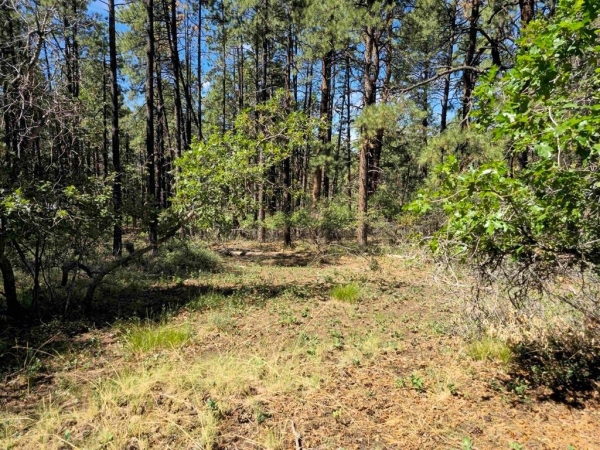 Listing Image #2 - Land for sale at 256 and 19 Blue Ridge Drive, Bayfield CO 81122 Listing Image #2 - Land for sale at 256 and 19 Blue Ridge Drive, Bayfield CO 81122