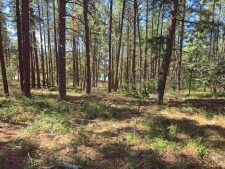 Land property for sale in Bayfield, CO