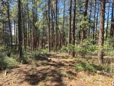 Listing Image #3 - Land for sale at 256 and 19 Blue Ridge Drive, Bayfield CO 81122