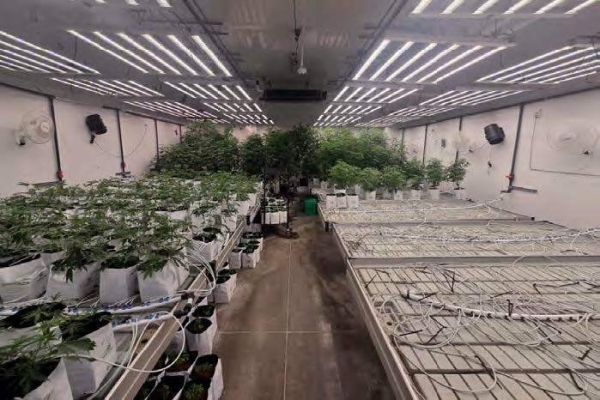 Listing Image #9 - Others for sale at Bangor - Operating Cultivation & Turnkey Processing Facility, Bangor MI 49013 Listing Image #9 - Others for sale at Bangor - Operating Cultivation & Turnkey Processing Facility, Bangor MI 49013