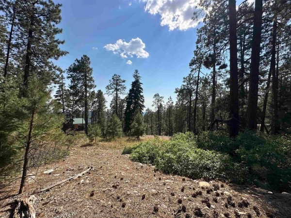 Listing Image #2 - Land for sale at 150 and 18 Pine Ridge, Bayfield CO 81122
