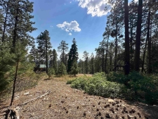 Listing Image #2 - Land for sale at 150 and 18 Pine Ridge, Bayfield CO 81122