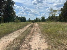 Listing Image #2 - Others for sale at 1778 Hwy 63, Hardy AR 72542
