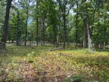 Listing Image #3 - Others for sale at 1778 Hwy 63, Hardy AR 72542