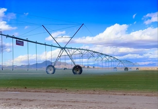 Listing Image #1 - Farm for sale at 125 2 Hawk Ranch Road, Tecopa CA 92389 Listing Image #1 - Farm for sale at 125 2 Hawk Ranch Road, Tecopa CA 92389