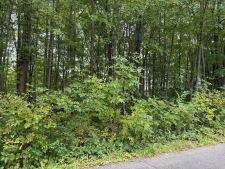Listing Image #2 - Land for sale at 0 U.S. Highway 20, Porter IN 46304