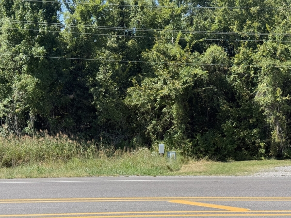 Listing Image #3 - Land for sale at 7832 Old Route 13, Marion IL 62959