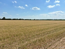 Listing Image #2 - Others for sale at 0 S Highway BB, East Prairie MO 63845