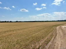 Listing Image #3 - Others for sale at 0 S Highway BB, East Prairie MO 63845